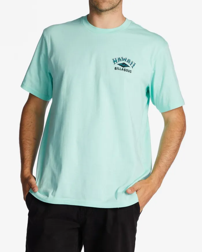 Billabong TShirts Men Hawaii Arch TShirt Cool Mint