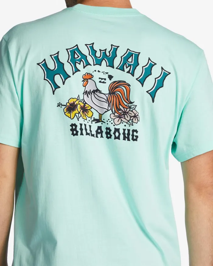 Billabong TShirts Men Hawaii Arch TShirt Cool Mint Billabong TShirts Men Hawaii Arch TShirt Cool Mint