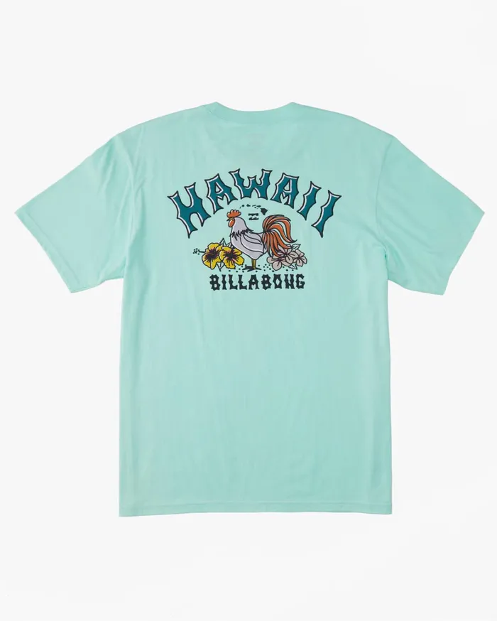 Billabong TShirts Men Hawaii Arch TShirt Cool Mint Billabong TShirts Men Hawaii Arch TShirt Cool Mint