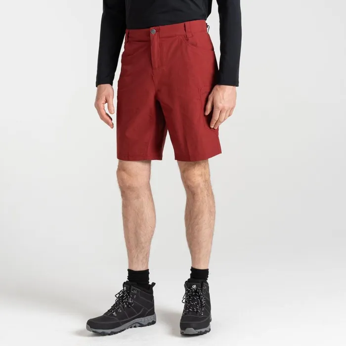 Dare 2b Walking Shorts Tuned In II Walking Shorts Syrah Red 8211 Men