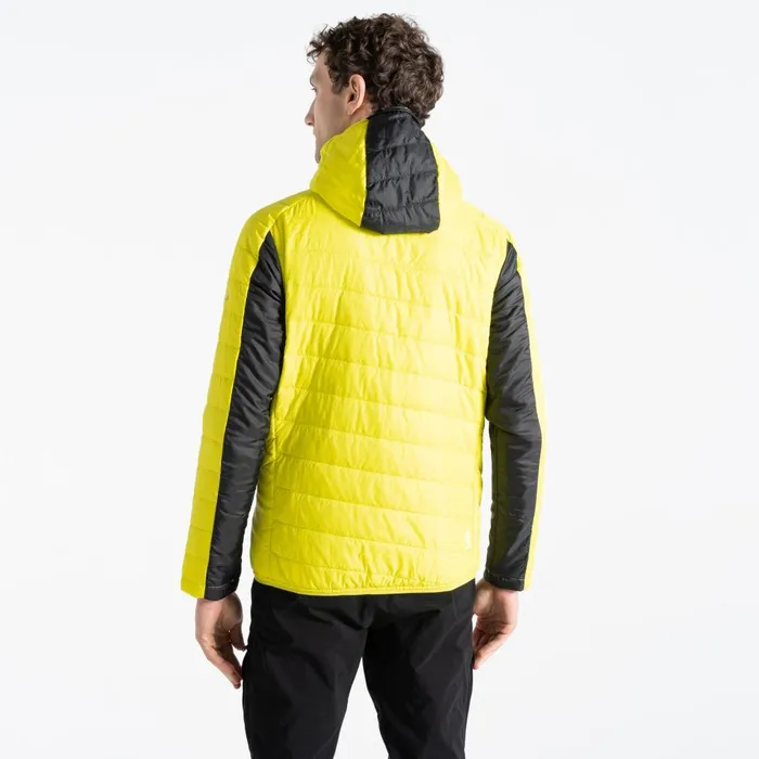 Dare 2b Waterproof Jackets Touring Padded Jacket Yellow Grey Black 8211 Men