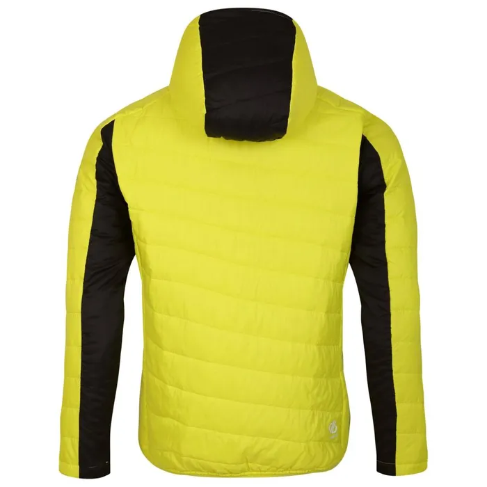 Dare 2b Waterproof Jackets Touring Padded Jacket Yellow Grey Black 8211 Men