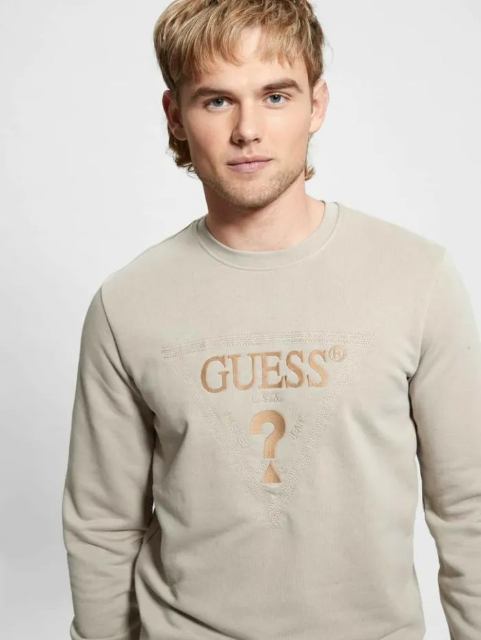 Men GUESS Hoodies and Sweaters Eco Embroidered Sweatshirt Pasadena Stone