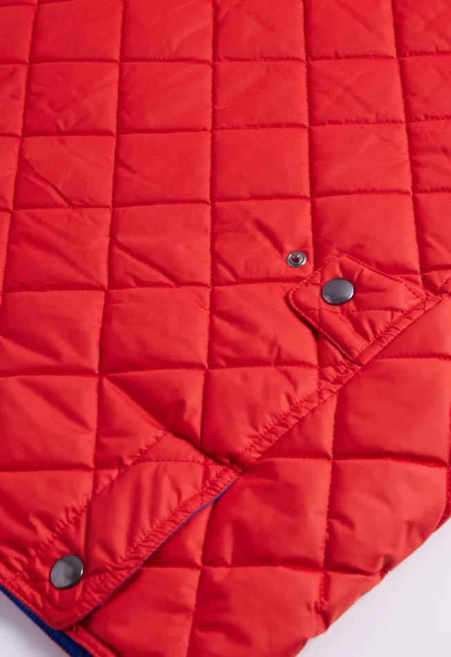 Paul Stuart Outerwear Diamond Quilted Vest Navy 8211 Men Paul Stuart Outerwear Diamond Quilted Vest Navy 8211 Men