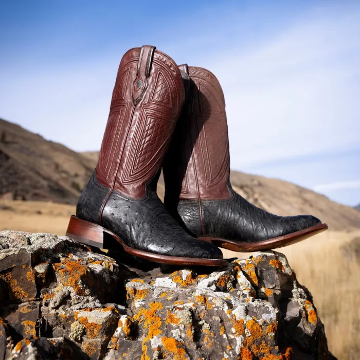 Stetson Western Men Dillon Ostrich Boots Black