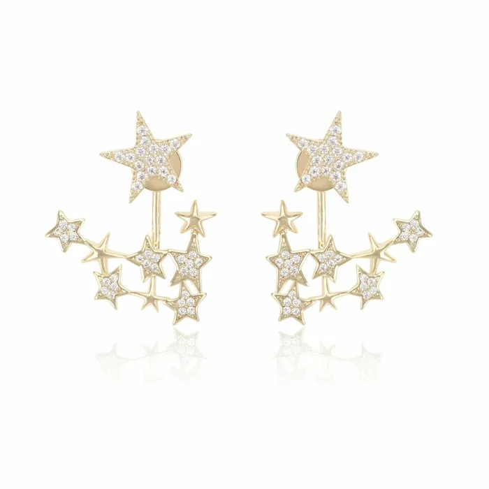 Vintage Havana Earrings Women NOVA EARRING