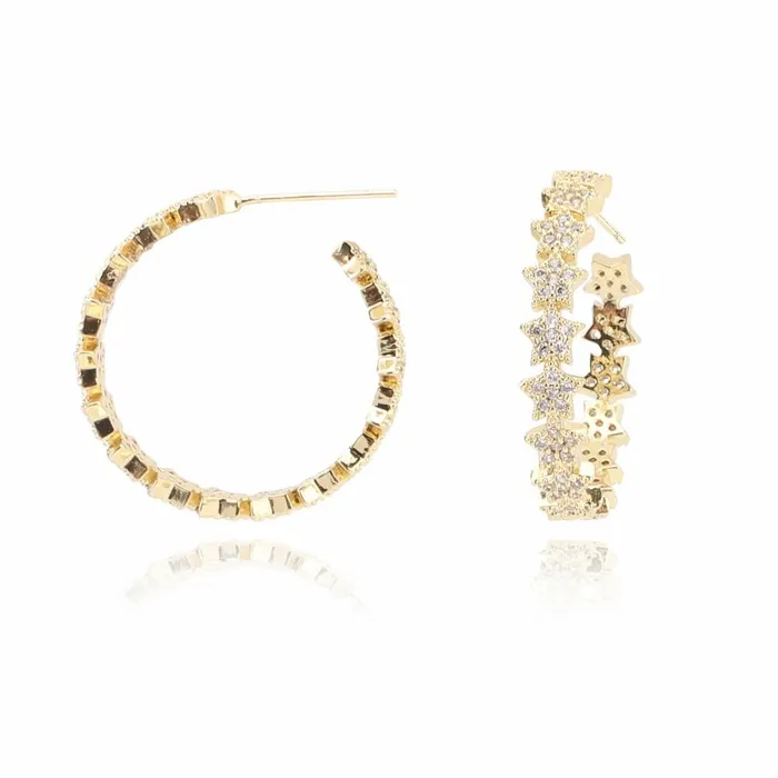 Vintage Havana Earrings Women PARIS EARRINGS