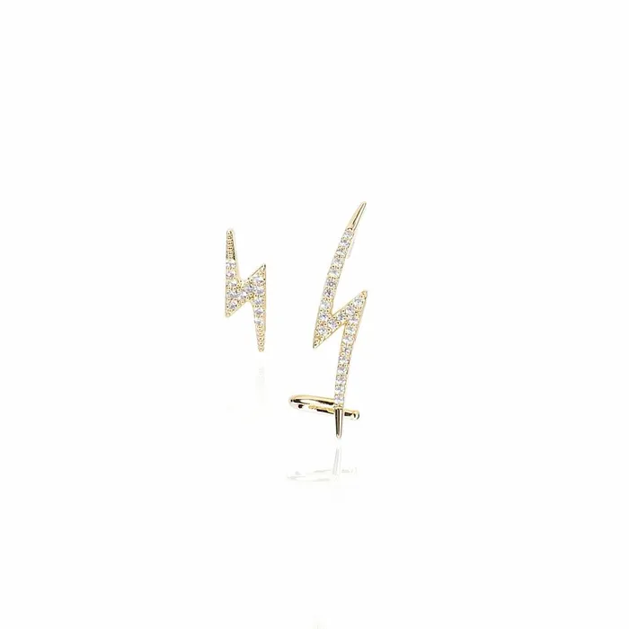 Vintage Havana Earrings Women SKYLAR Earrings