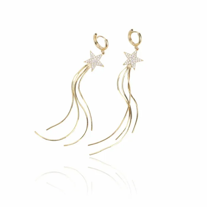 Vintage Havana Earrings Women TEAGAN EARRINGS