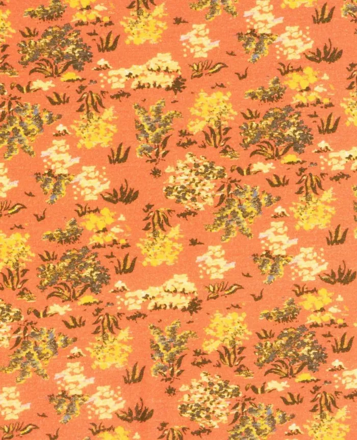 Women039s Bikini Dreamsicle Print ToadandCo Underwear and Accessories