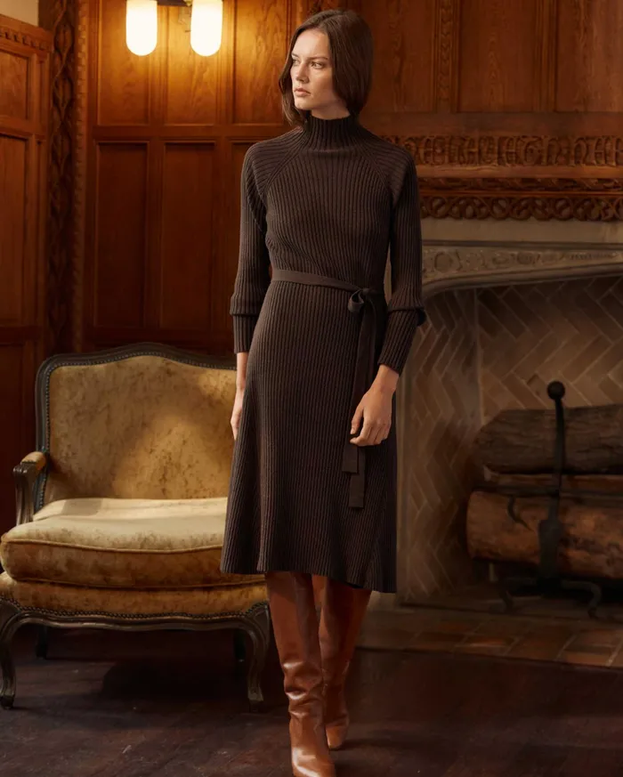 Women Dresses Billy Reid Turtleneck Sweater Dress Coffee Bean