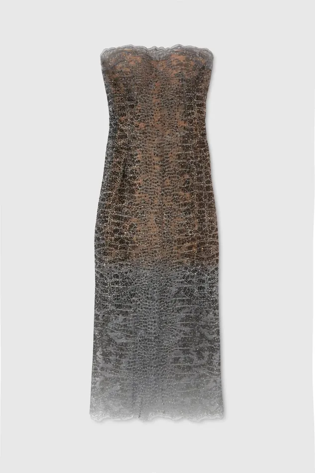 Women Dresses Ermanno Scervino Designer Bustier Dress With Pythoneffect Microcrystals 8211 Ermanno Scervino Grey Women Dresses Ermanno Scervino Designer Bustier Dress With Pythoneffect Microcrystals 8211 Ermanno Scervino Grey