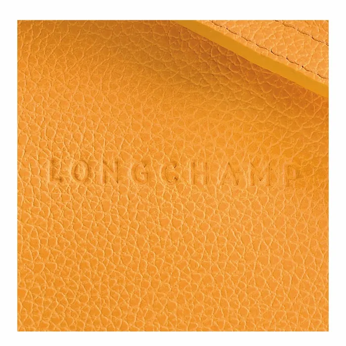 Women Le Foulonn S Crossbody Bag Apricot Longchamp Crossbody Bags