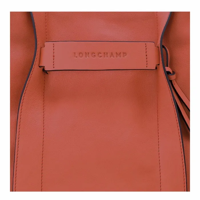 Women Longchamp 3D M Hobo Bag Sienna Longchamp Shoulder Bags
