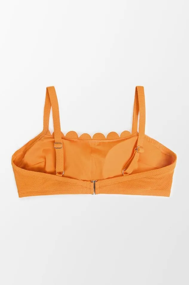 Women Plus Size and Curve Bikinis Cupshe Mayra Scalloped Back Hook Plus Size Bikini Top Orange